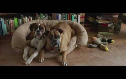 Nie ma mowy!/ Tumbledown(2015) - zwiastuny | Kinomaniak.pl