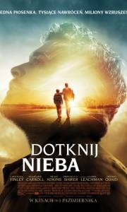 Dotknij nieba online / I can only imagine online (2018) | Kinomaniak.pl