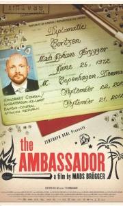 Ambasador online / Ambassador, the online (2011) | Kinomaniak.pl