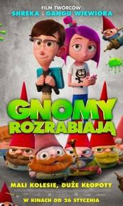 Gnomy rozrabiają online / Gnome alone online (2017) | Kinomaniak.pl