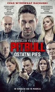 Pitbull. ostatni pies online (2018) | Kinomaniak.pl