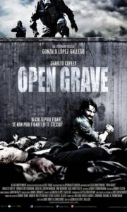 Open grave online (2013) | Kinomaniak.pl