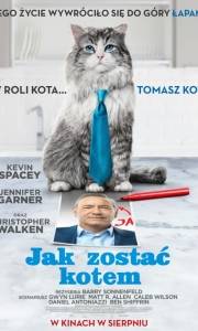 Jak zostać kotem online / Nine lives online (2016) | Kinomaniak.pl