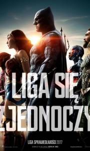 Liga sprawiedliwości online / Justice league online (2017) | Kinomaniak.pl