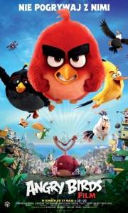 Angry birds film online / Angry birds online (2016) | Kinomaniak.pl