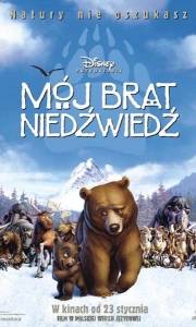 Mój brat niedświedś online / Brother bear online (2003) | Kinomaniak.pl