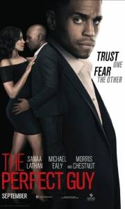 Idealny facet online / Perfect guy, the online (2015) | Kinomaniak.pl