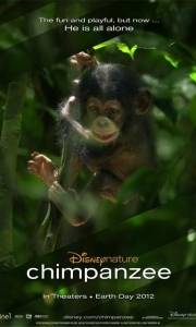 Szympans online / Chimpanzee online (2012) | Kinomaniak.pl