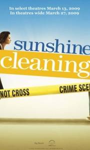 Sunshine cleaning online (2008) | Kinomaniak.pl