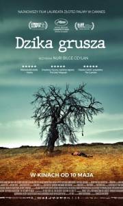 Dzika grusza online / Ahlat ağacı online (2018) | Kinomaniak.pl