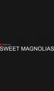 Słodkie magnolie online / Sweet magnolias online (2020-) | Kinomaniak.pl