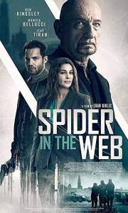 Pająk w sieci online / Spider in the web online (2019) | Kinomaniak.pl