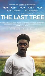 Ostatnie drzewo online / The last tree online (2019) | Kinomaniak.pl