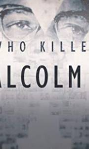 Kto zabił malcolma x? online / Who killed malcolm x? online (2019) | Kinomaniak.pl