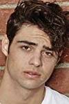 Noah Centineo