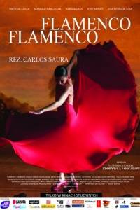 Flamenco, flamenco online (2010) | Kinomaniak.pl