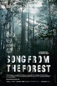 Uciekinier z nowego jorku online / Song from the forest online (2013) | Kinomaniak.pl