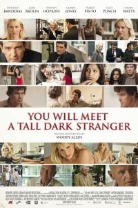 Poznasz przystojnego bruneta online / You will meet a tall dark stranger online (2010) | Kinomaniak.pl