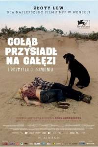 Gołąb przysiadł na gałęzi i rozmyśla o istnieniu/ En duva satt på en gren och funderade på tillvaron(2014) - zdjęcia, fotki | Kinomaniak.pl