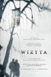 Wizyta online / Visit, the online (2015) | Kinomaniak.pl