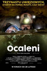 Ocaleni online / The cave online (2019) | Kinomaniak.pl