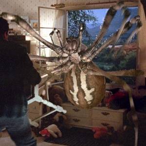 Atak pająków/ Eight legged freaks(2002) - zdjęcia, fotki | Kinomaniak.pl