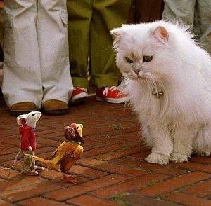 Stuart malutki 2/ Stuart little 2(2002) - zdjęcia, fotki | Kinomaniak.pl