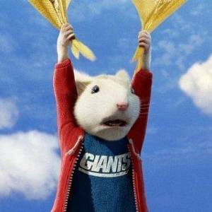 Stuart malutki 2/ Stuart little 2(2002) - zdjęcia, fotki | Kinomaniak.pl