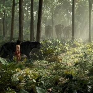 Księga dżungli/ Jungle book, the(2016) - zdjęcia, fotki | Kinomaniak.pl